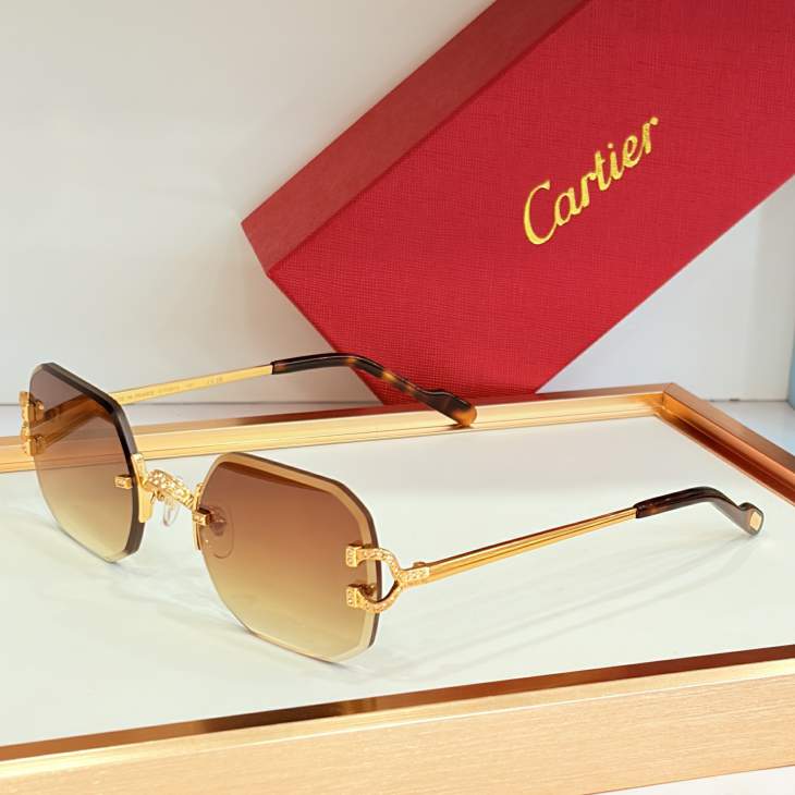 Picture of Cartier Sunglasses _SKUfw80879463fw